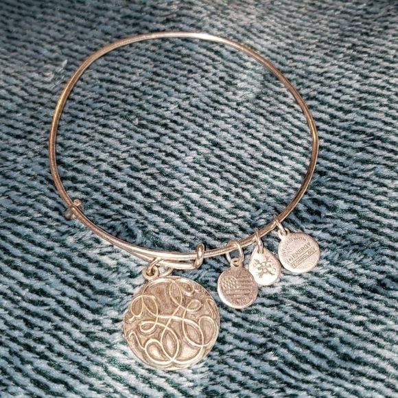 Alex and Ani Path of Life Silver Charm Bracelet - Picture 1 of 3
